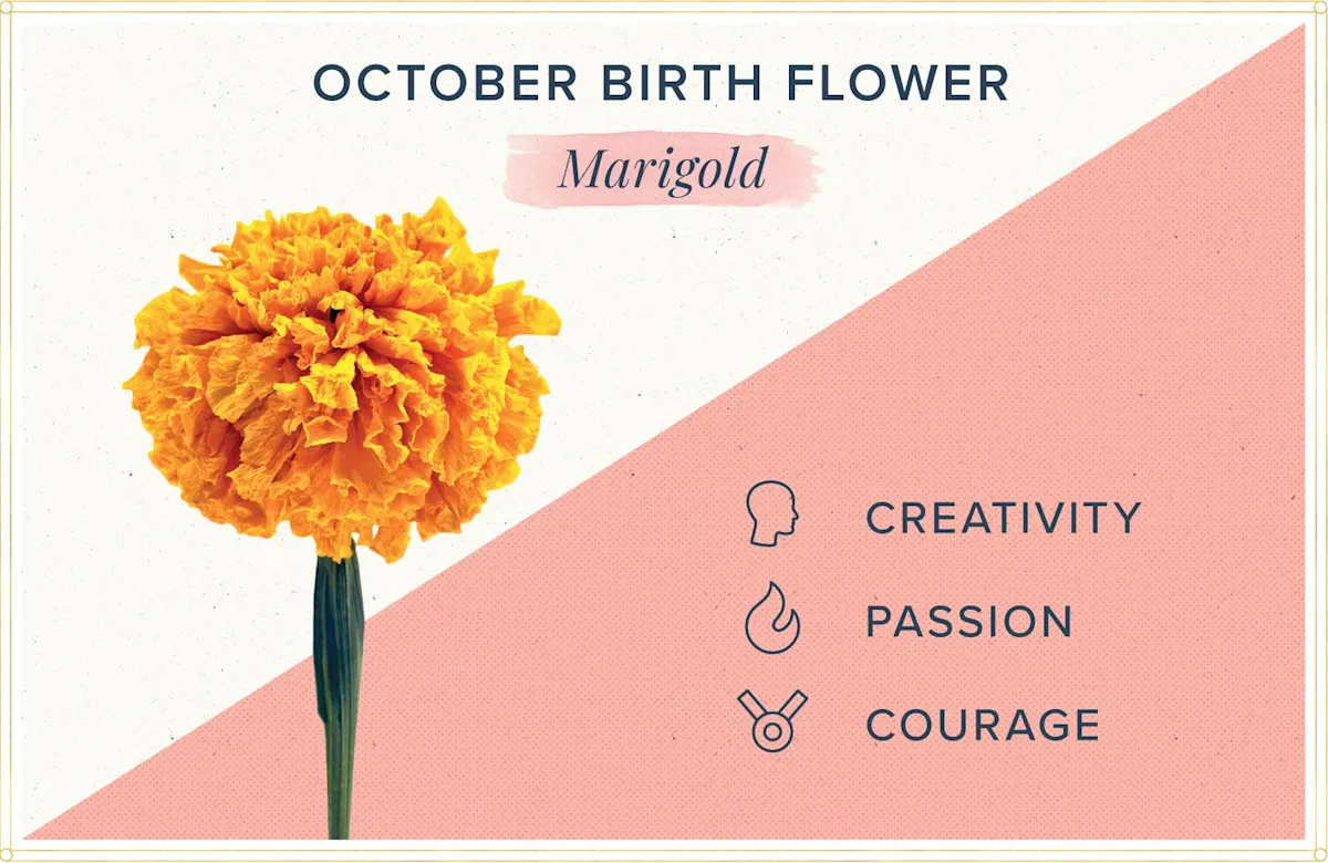 October Birth Flower + More Marigold ProFlowers