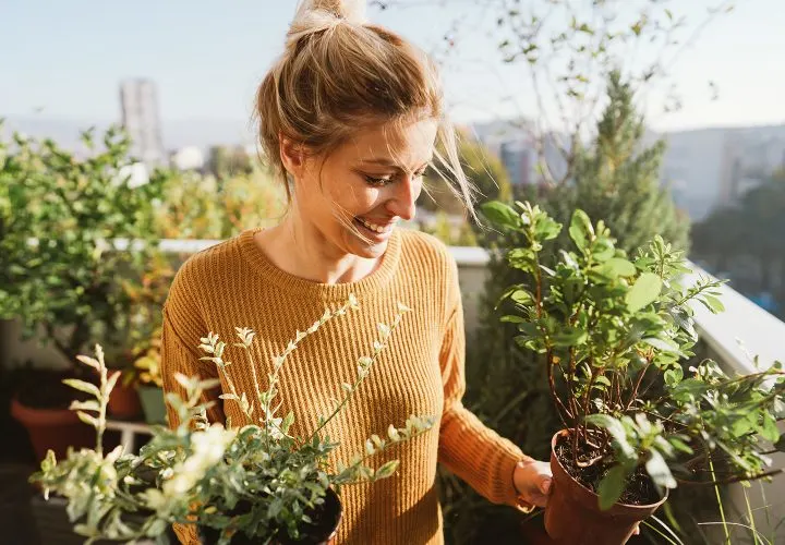 Your Guide to Hosting a Neighborhood Plant Swap