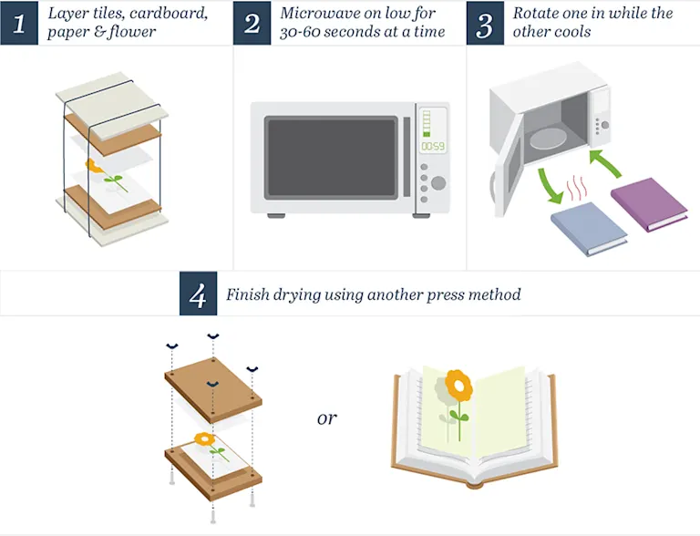 How to Press Flowers