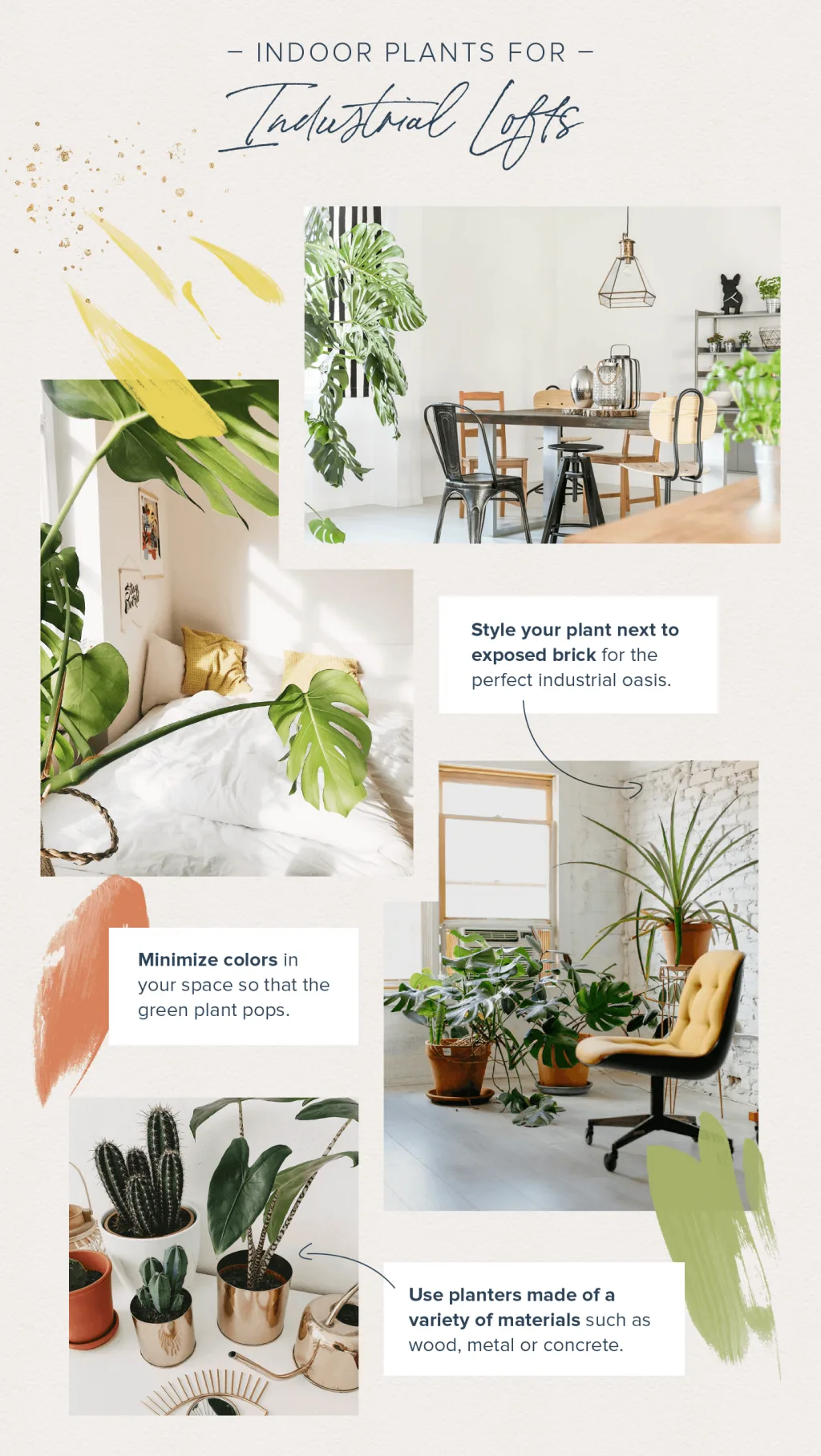 19 Large Indoor Plants for Your Personal Oasis
