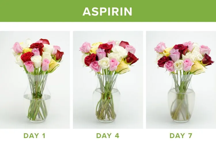 08-asprin