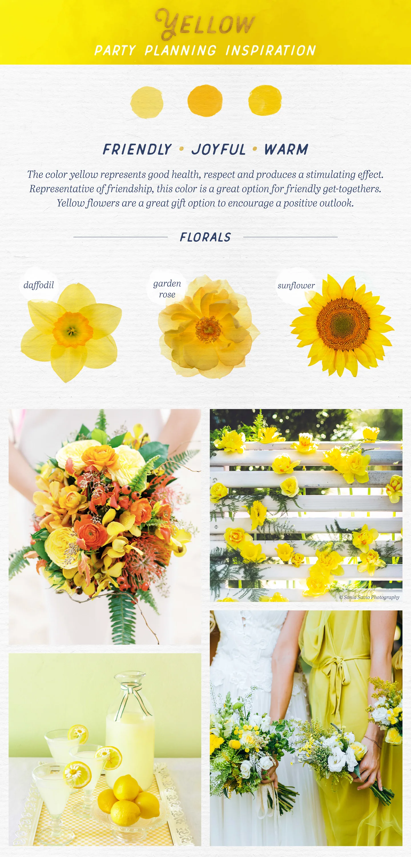 How to Pick the Perfect Floral Arrangement Using Color Psychology