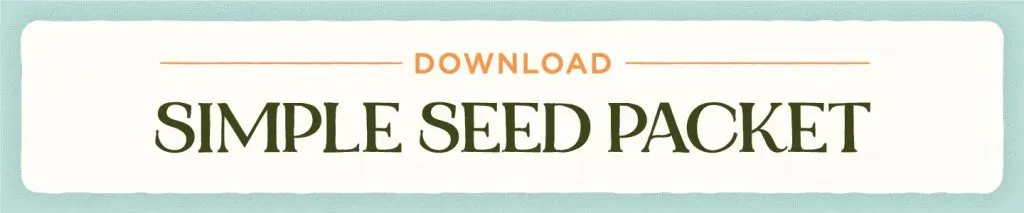 Simple Seed