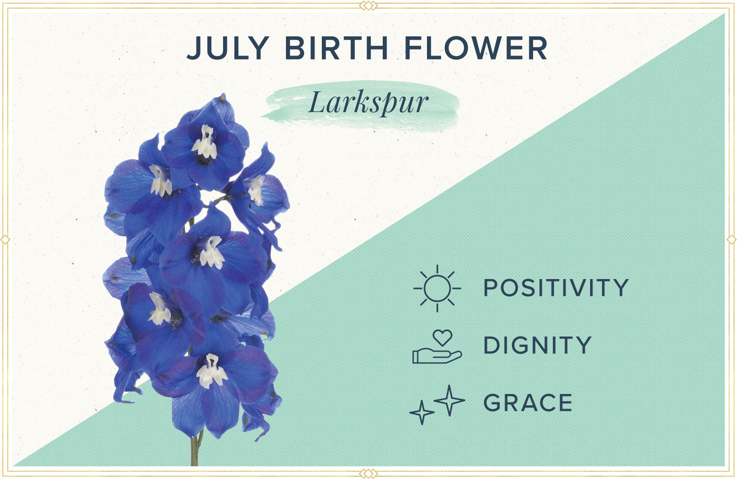July birth month flower meaning larkspur
