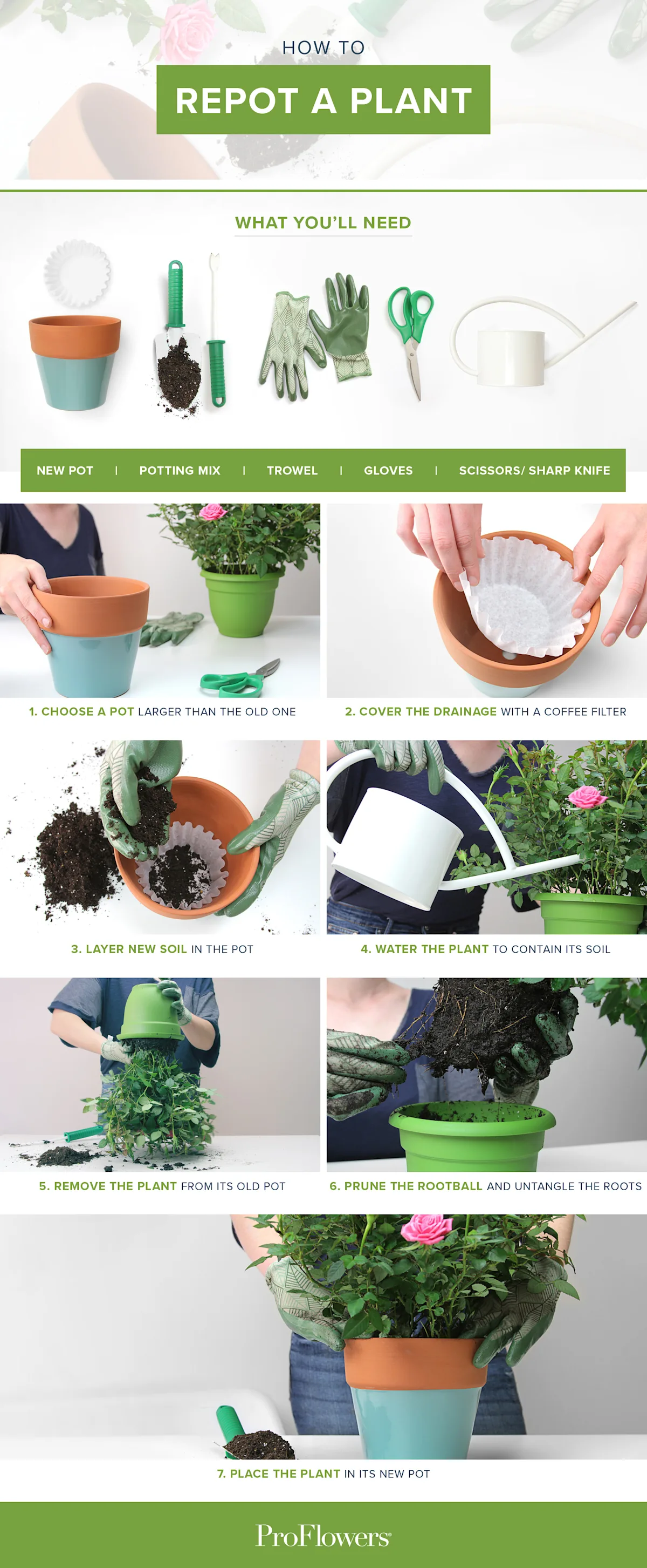 How to Repot a Plant 7 Simple Steps With Pictures ProFlowers