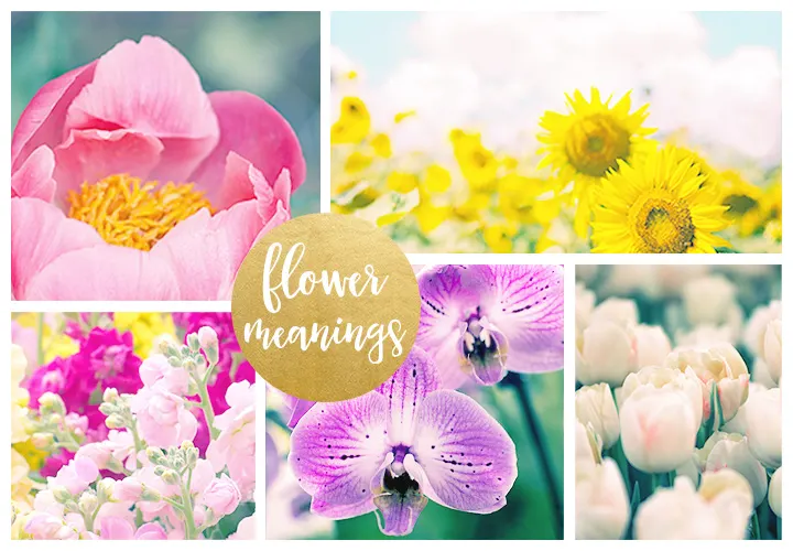 flower-meanings