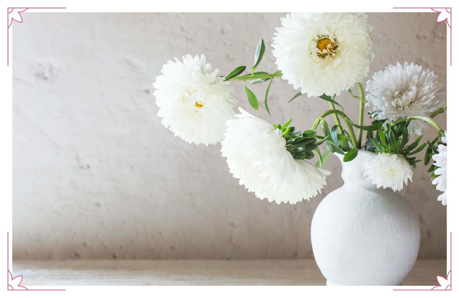 perfect-flowers-for-every-wedding-anniversary-asters