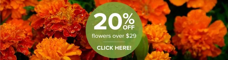 pf-coupon-orange-flowers