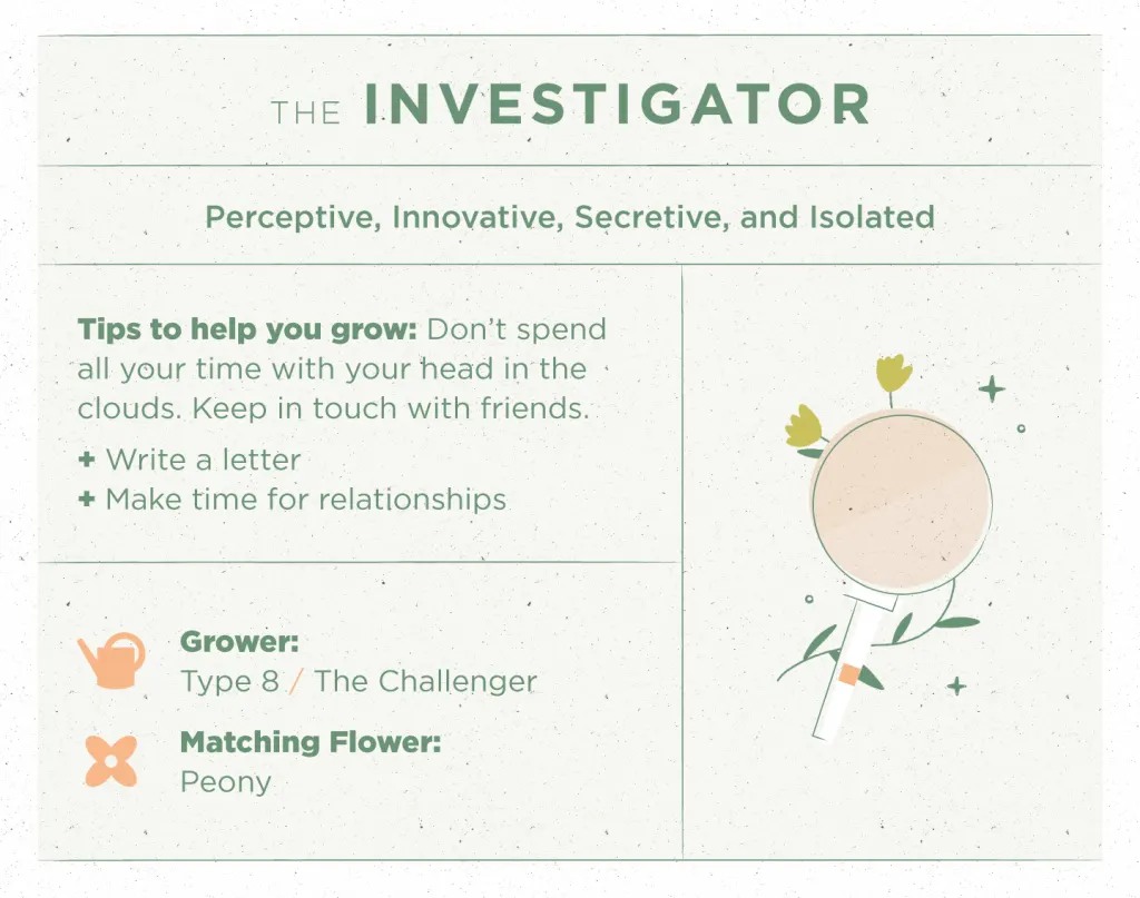 Type 5: The Investigator