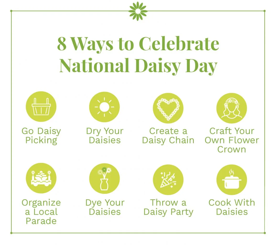 National Daisy Day