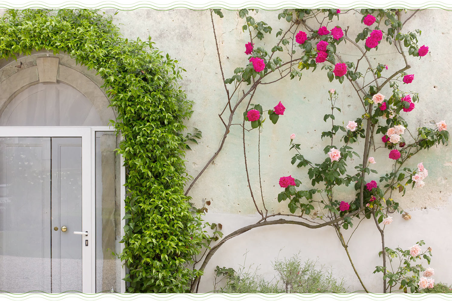 a building facade with roses growing up it and on the door