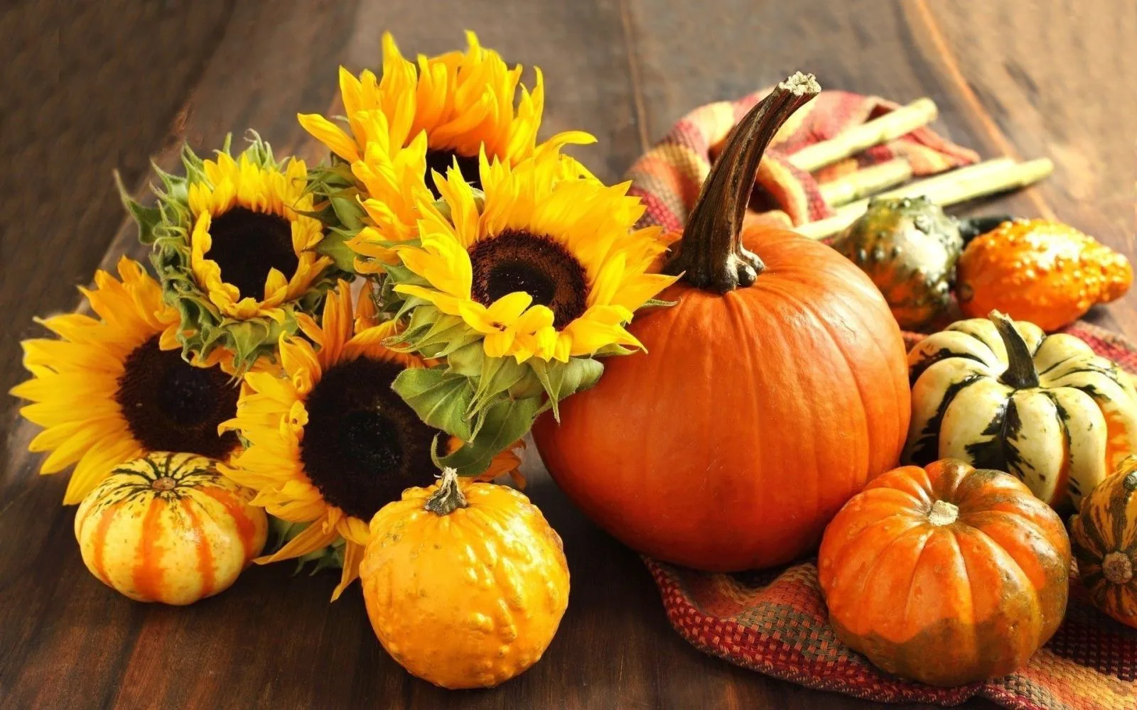 pumpkins-and-flowers