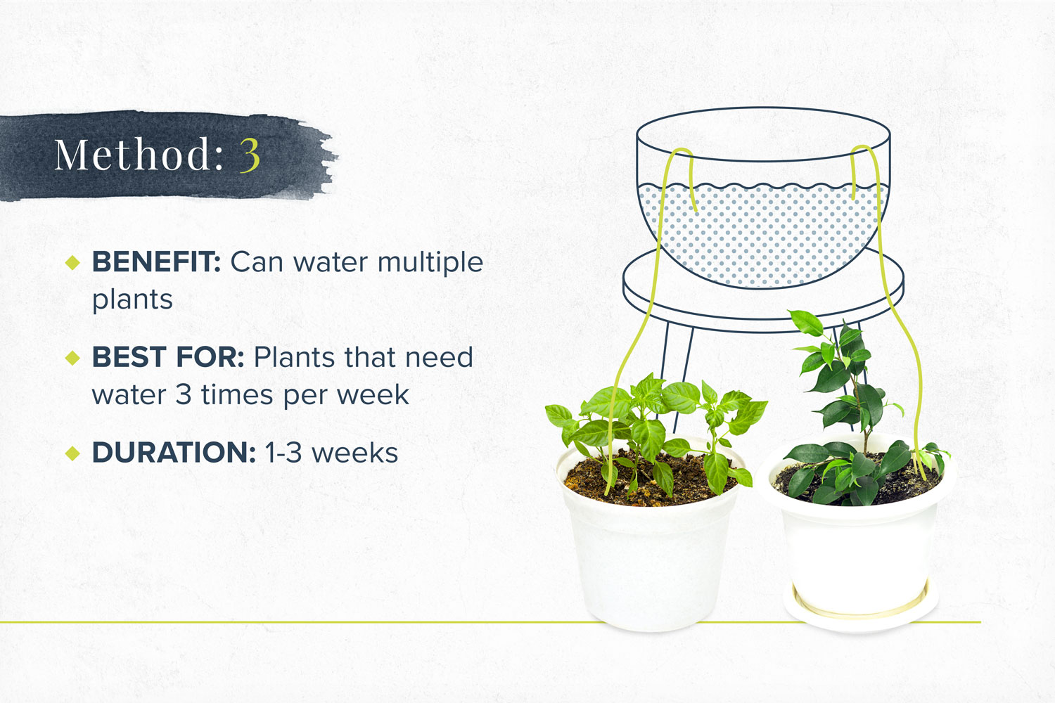 How to water indoor plants when on vacation