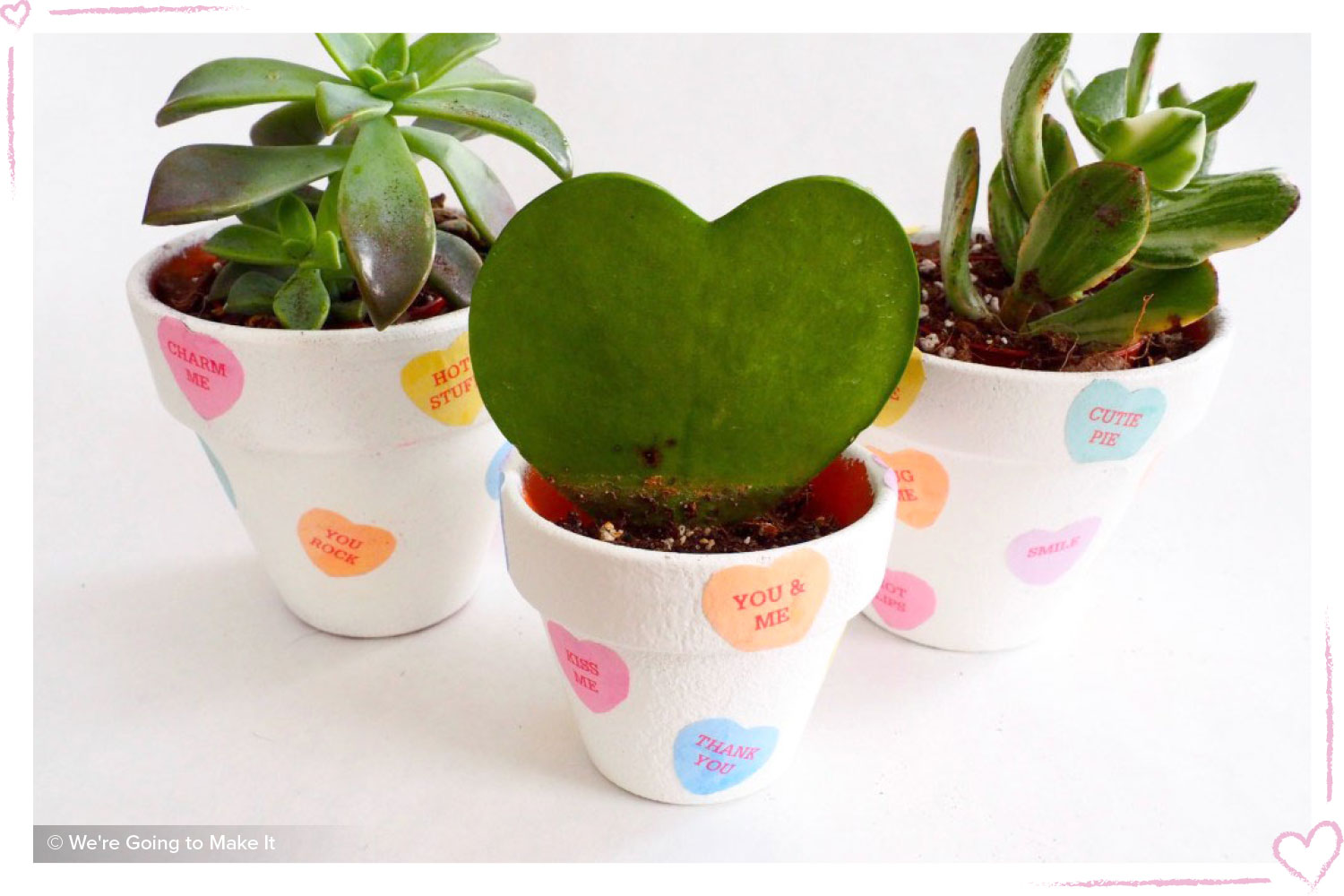 how to surprise your girlfriend DIY cacti