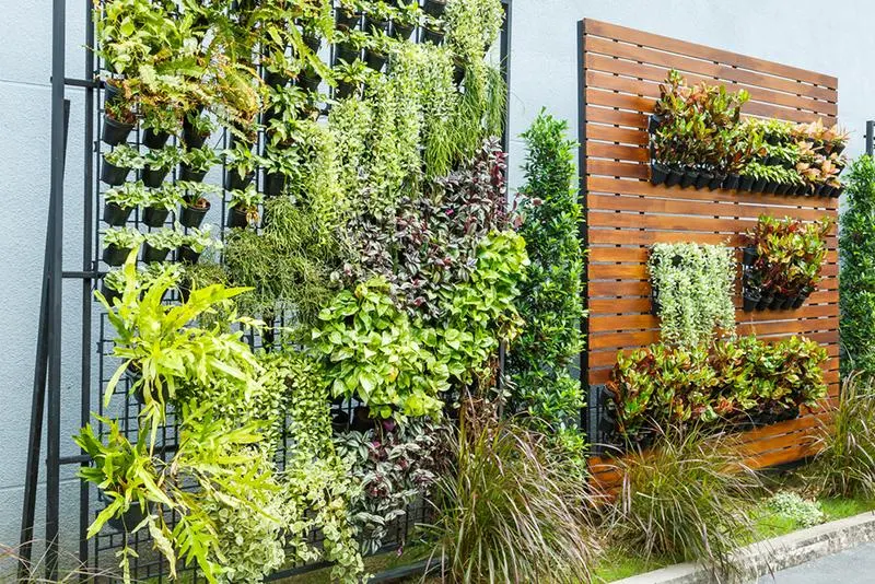 Think Vertical: Ideas for the Vertical Garden