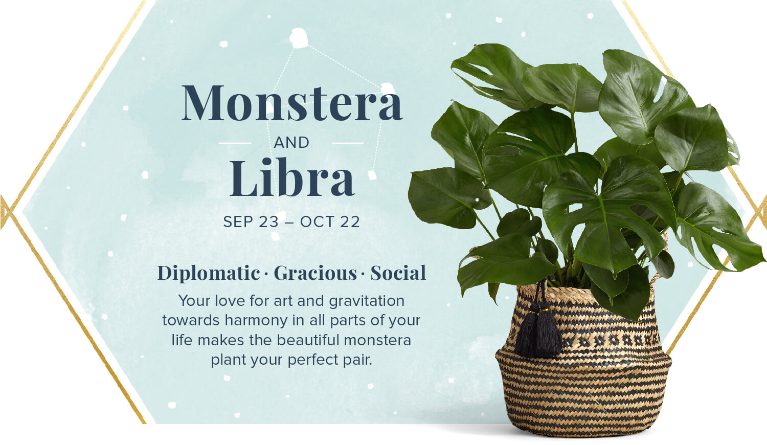 monstera and libra zodiac plant pairing