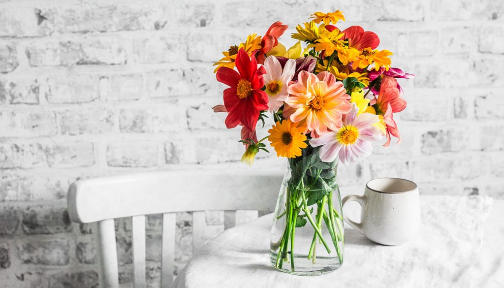 What Is a Celebration of Life? Etiquette, What to Expect, & More » Urns