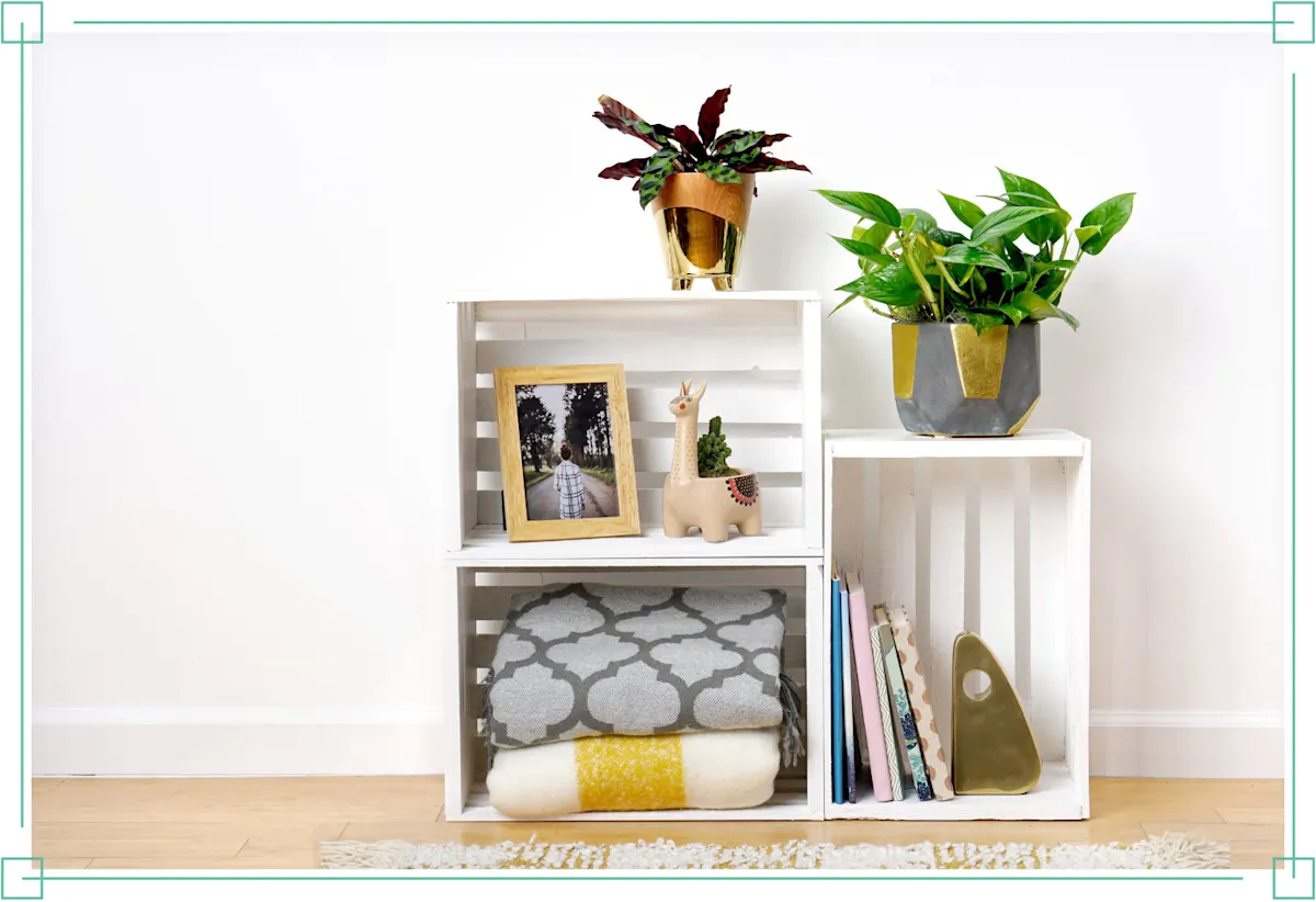 DIY Plant Stand Tutorials: 3 Creative Hardware Hacks - ProFlowers Blog