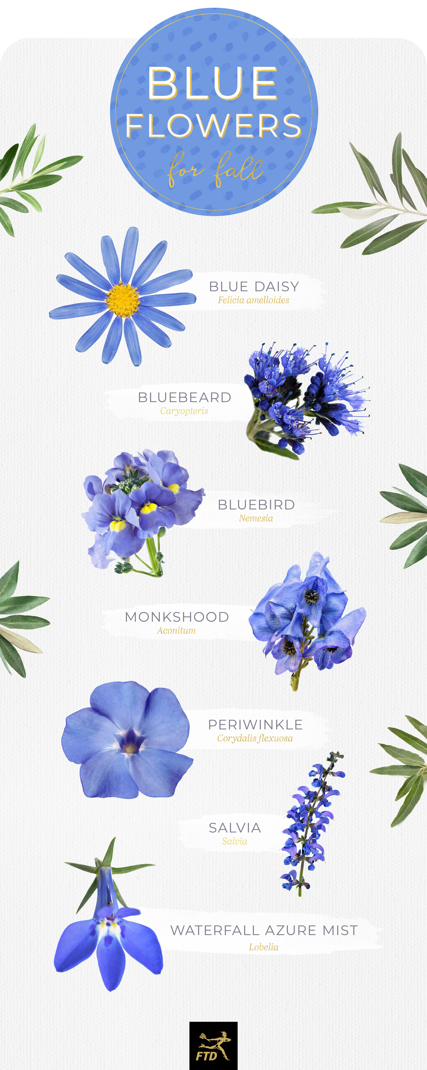 types of light blue flowers