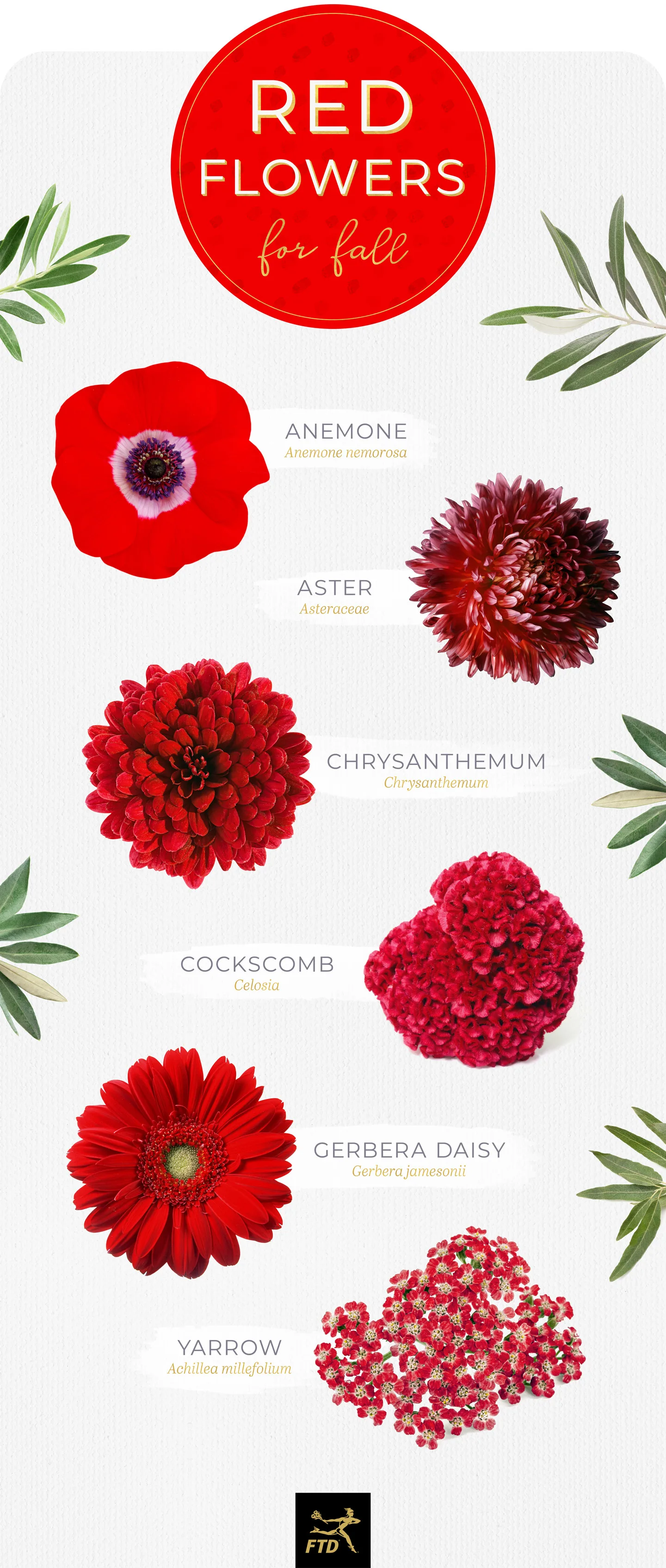 40 Types of Red Flowers