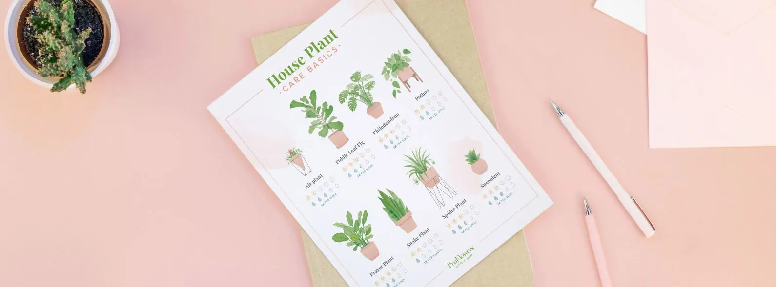 houseplant-care-printable