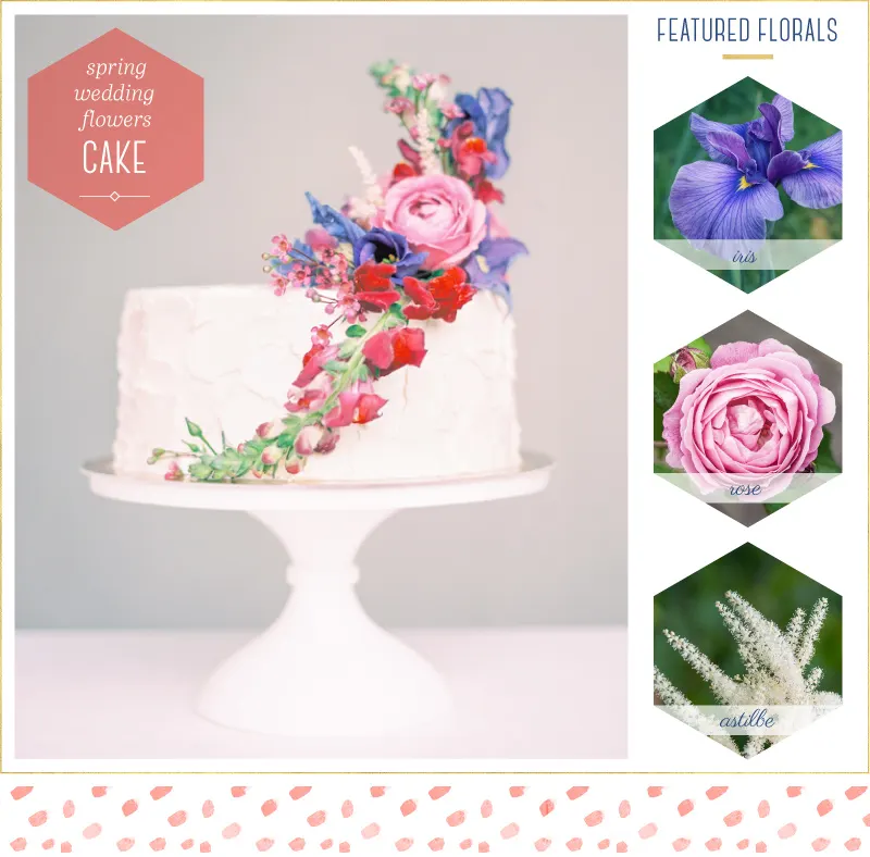 spring-flowers-cake