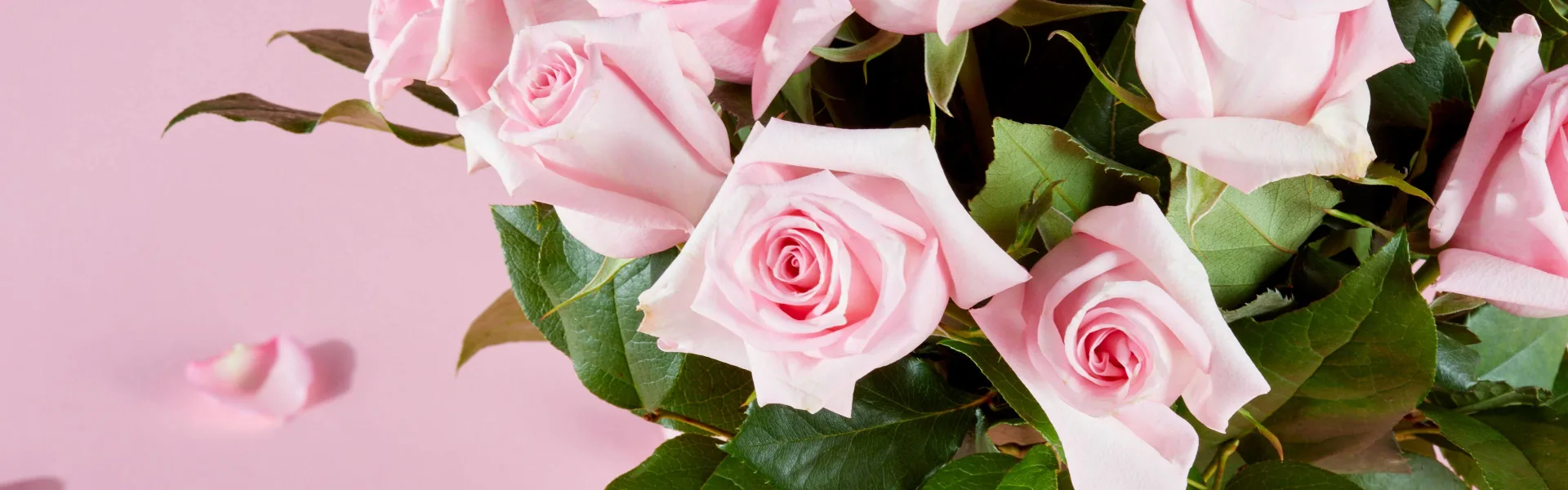 Think Pink! Flowers to Commemorate Breast Cancer Awareness Month October