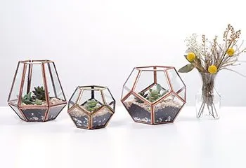 How to Make a Terrarium in 5 Easy Steps | ProFlowers