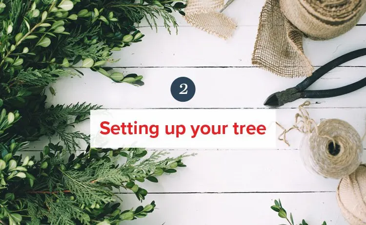 How to Take Care of Your Christmas Tree
