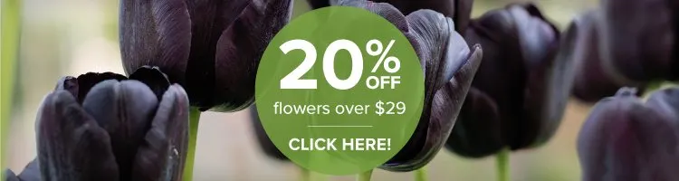 pf-coupon-black-flowers