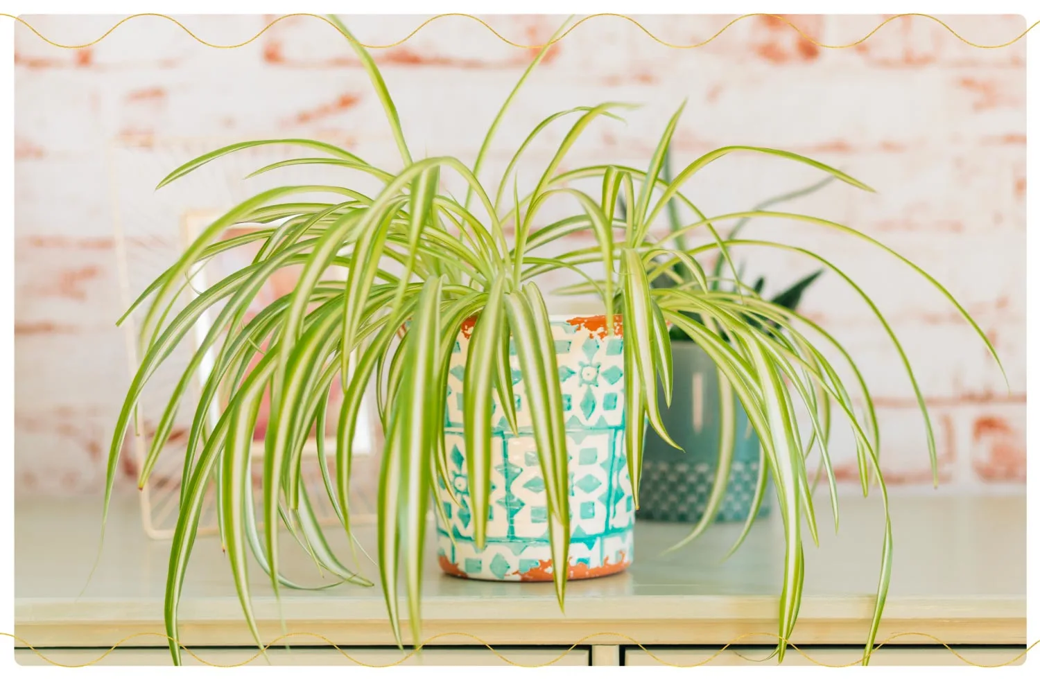 The 23 Best Air-Purifying Plants for Your Home