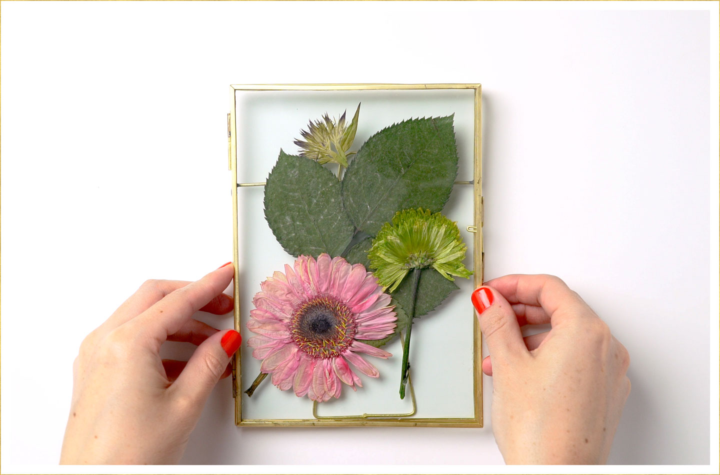 How do I preserve the colour in my pressed flowers? - Cottage Life