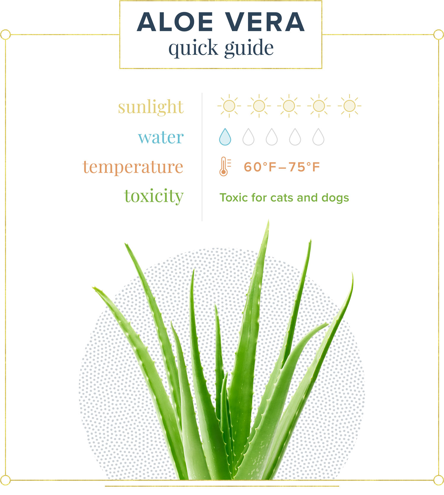 aloe vera quick guide: five suns, one water, 65-75 degrees Fahrenheit, toxic for cats and dogs
