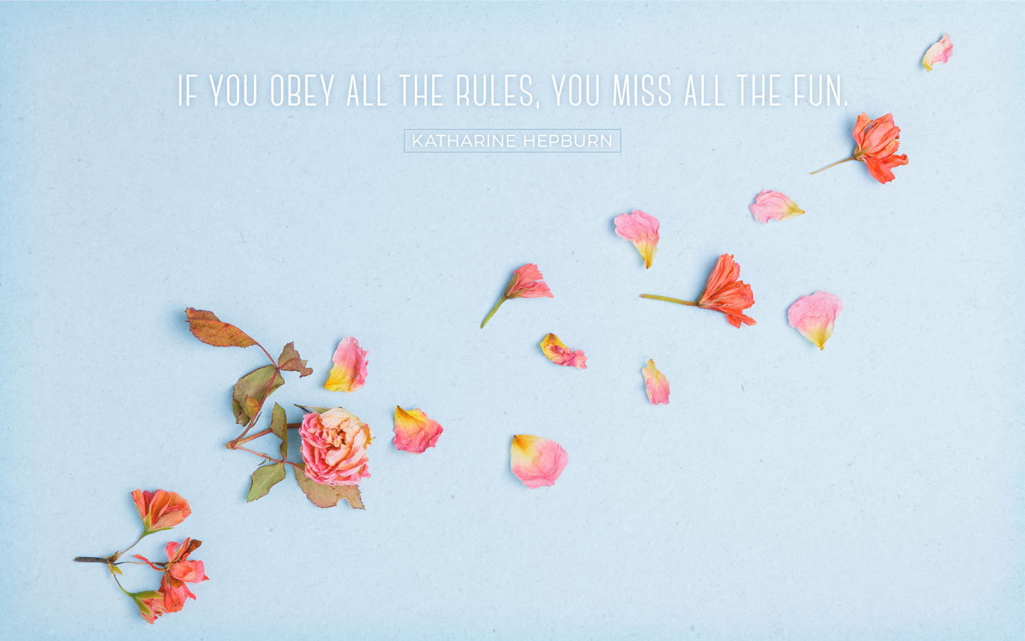 100 Inspirational Quotes for Women (with Desktop Backgrounds!) - FTD.com, image size:1440x900