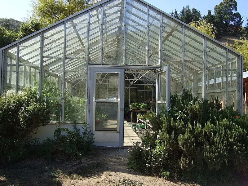 800px-Green Gulch Farm Greenhouse