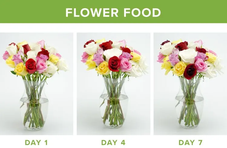11-flower-food