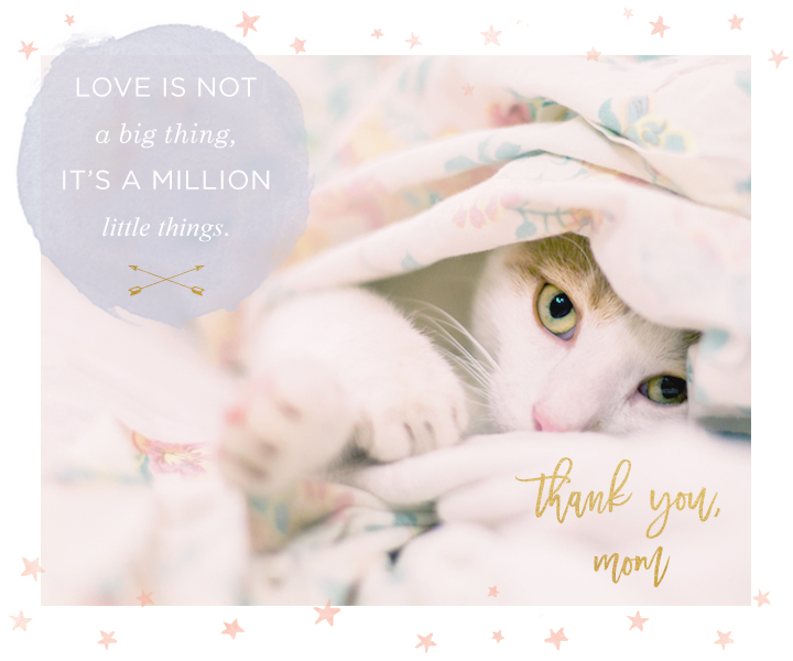 Dear Cat Mom The Way You Speak To Yourself Matters Inspirational