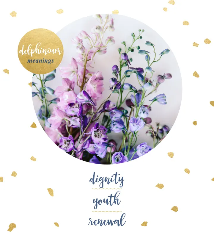 flower-meanings-delphinium2
