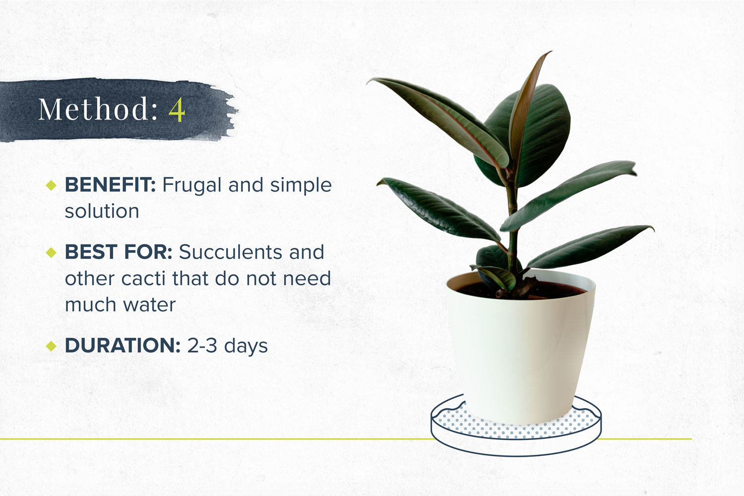 Benefits: Frugal and simple solution Best for: Succulents and other cacti that do not need much water Duration: 2-3 days