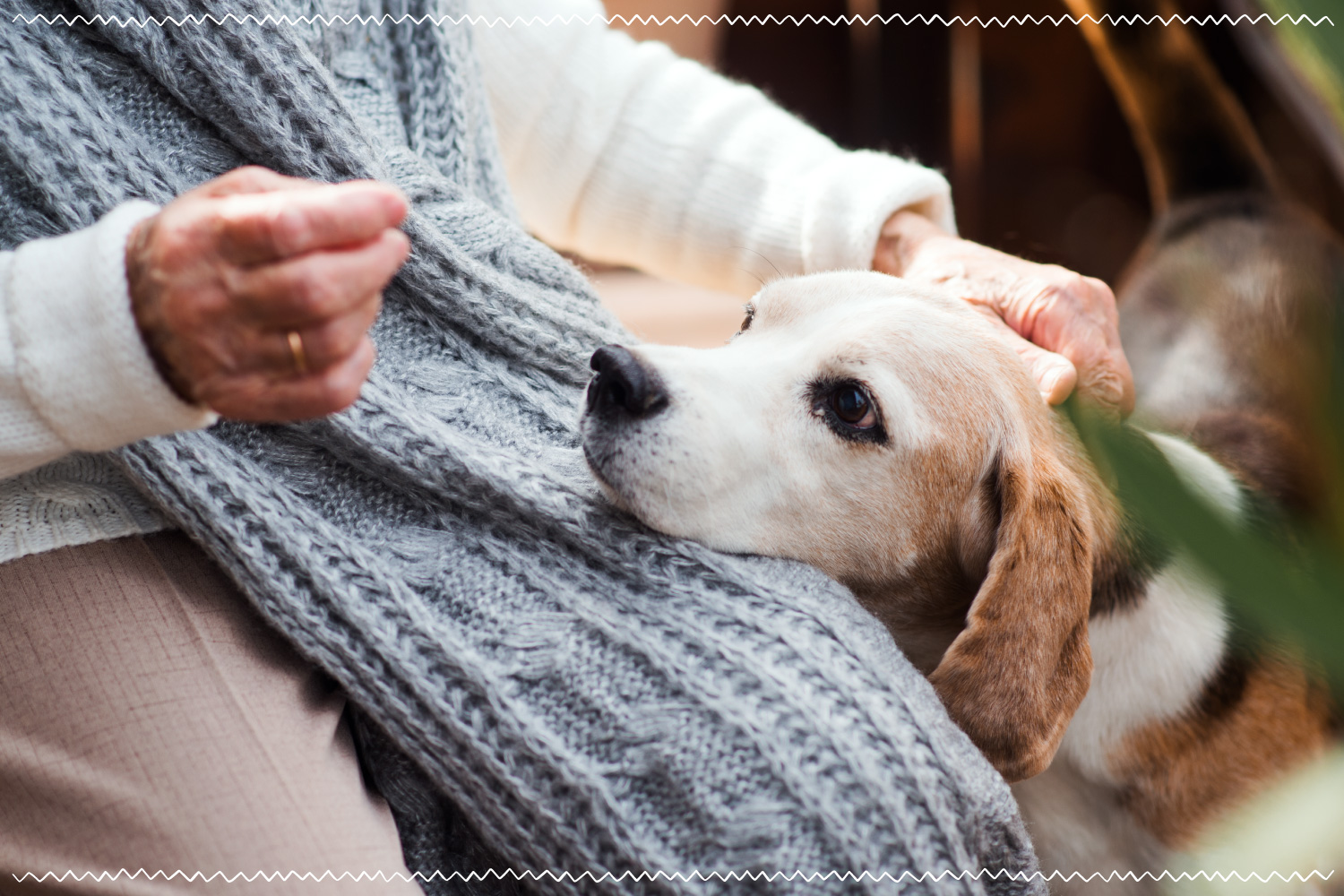 elderly person petting old dog
