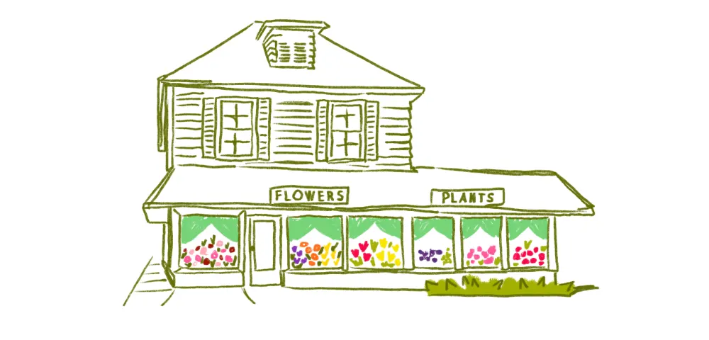 Revitalizing a Century-Old Flower Shop: Molly Barrett
