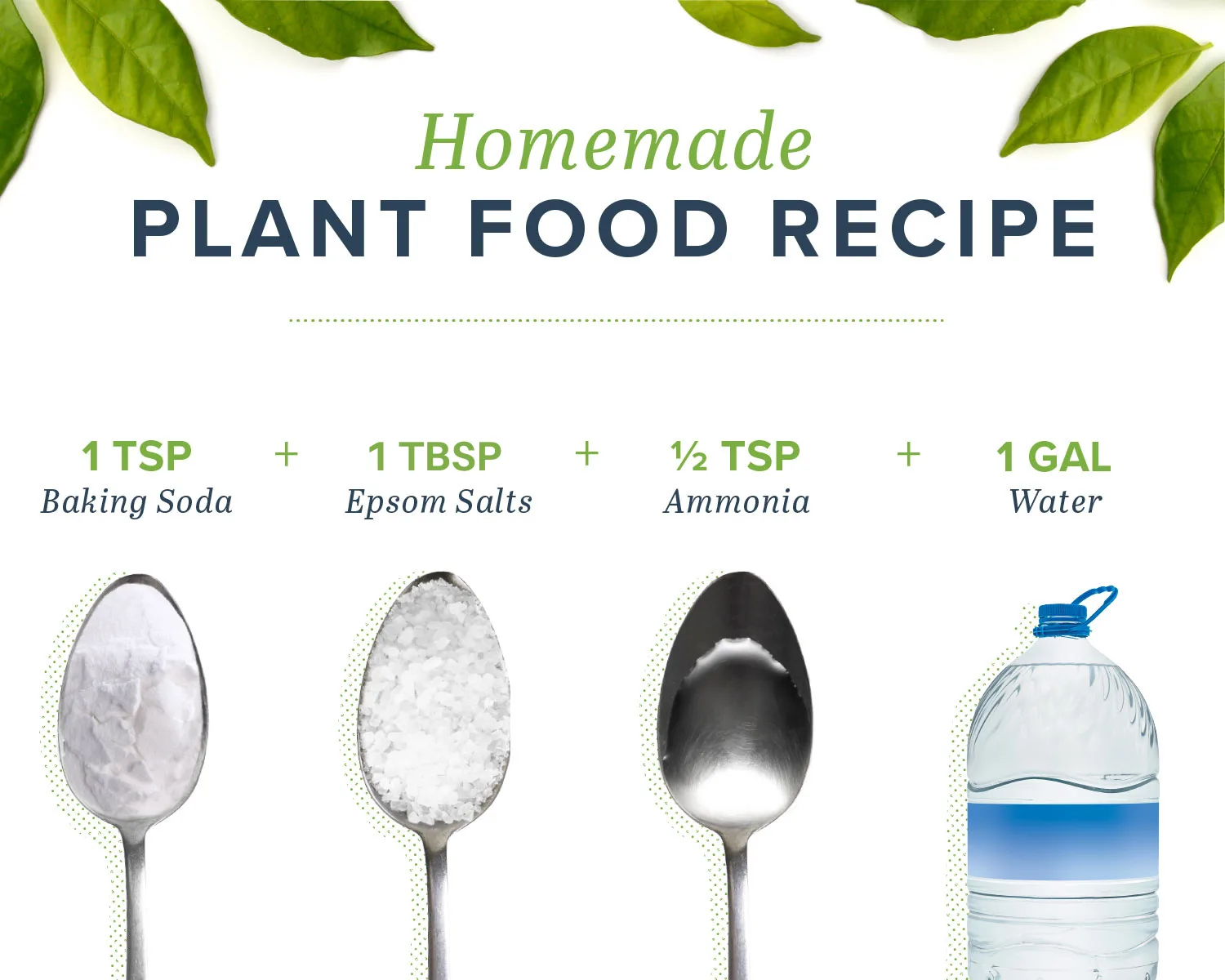 Homemade-plant-food-RECIPE-ingredients
