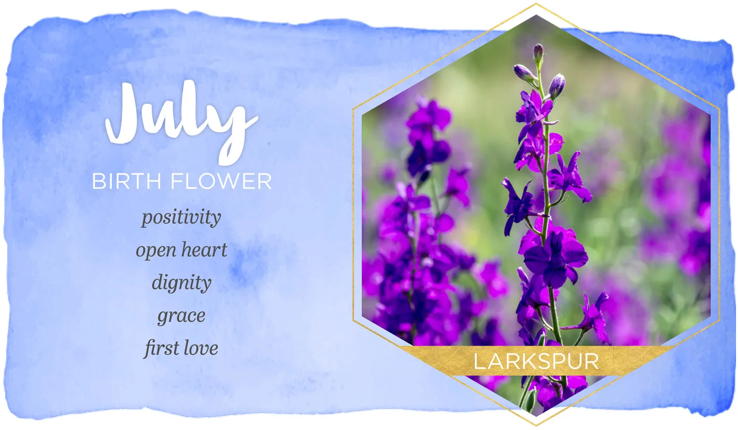 July Birth Flower: Larkspur