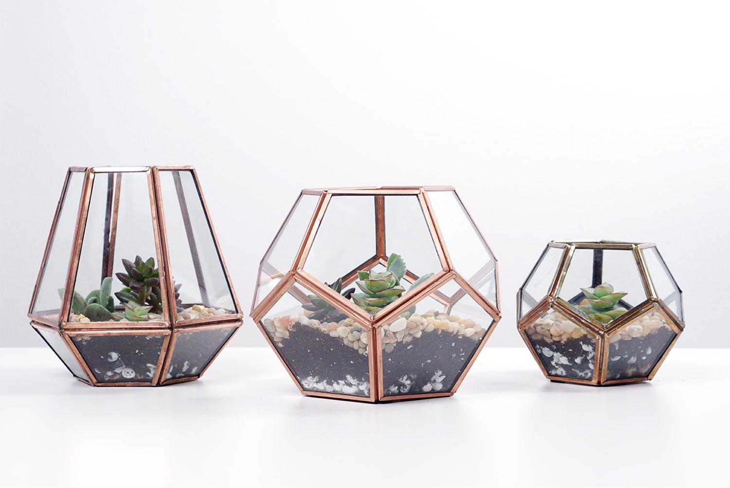 How to plant a terrarium - Gardens Illustrated