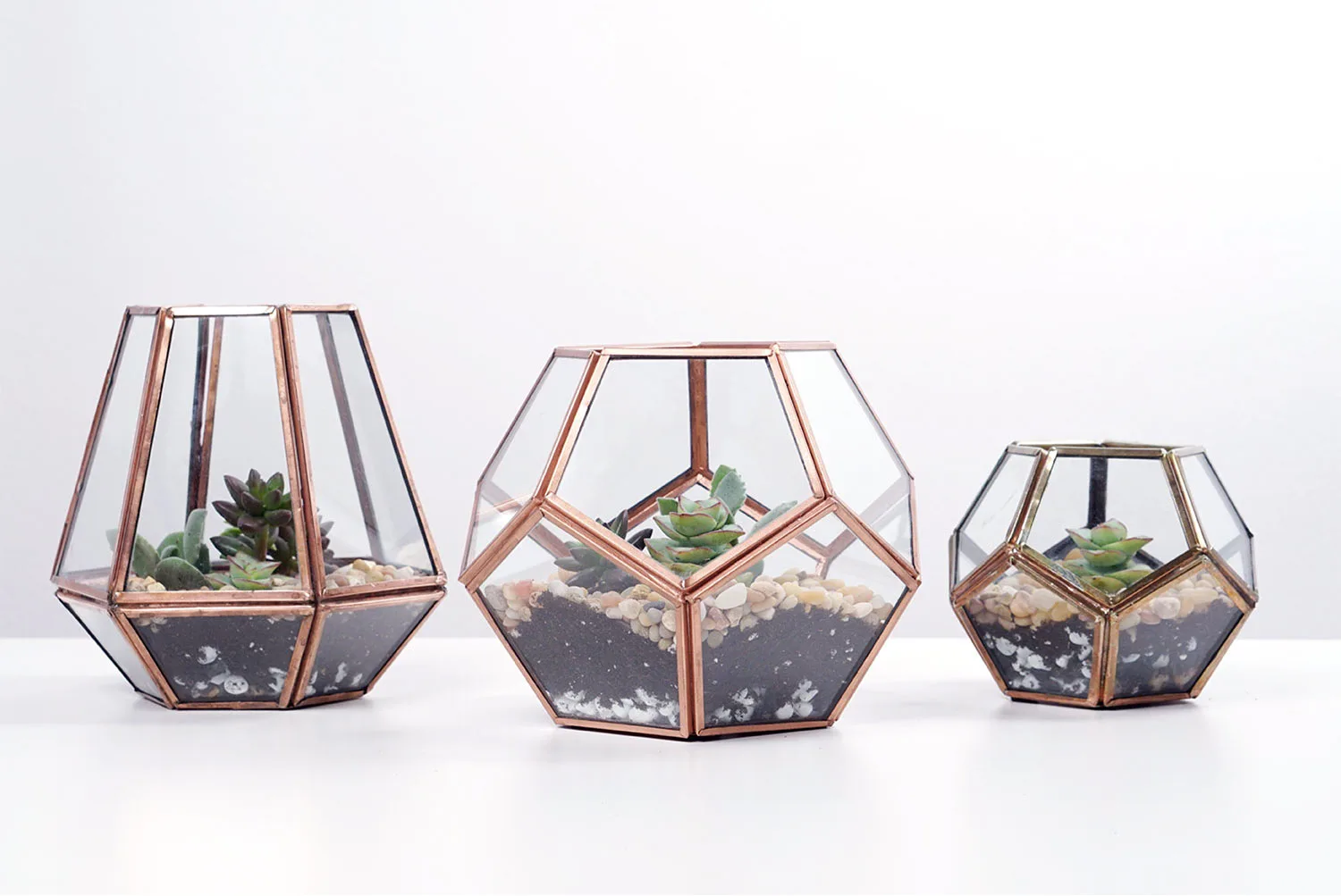 How-to-make-a-terrarium-final06