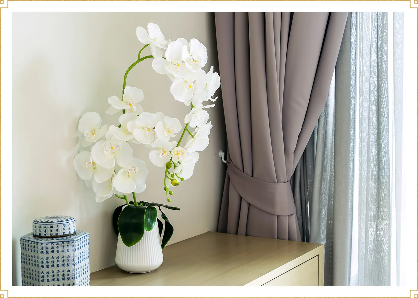 01-white-orchids