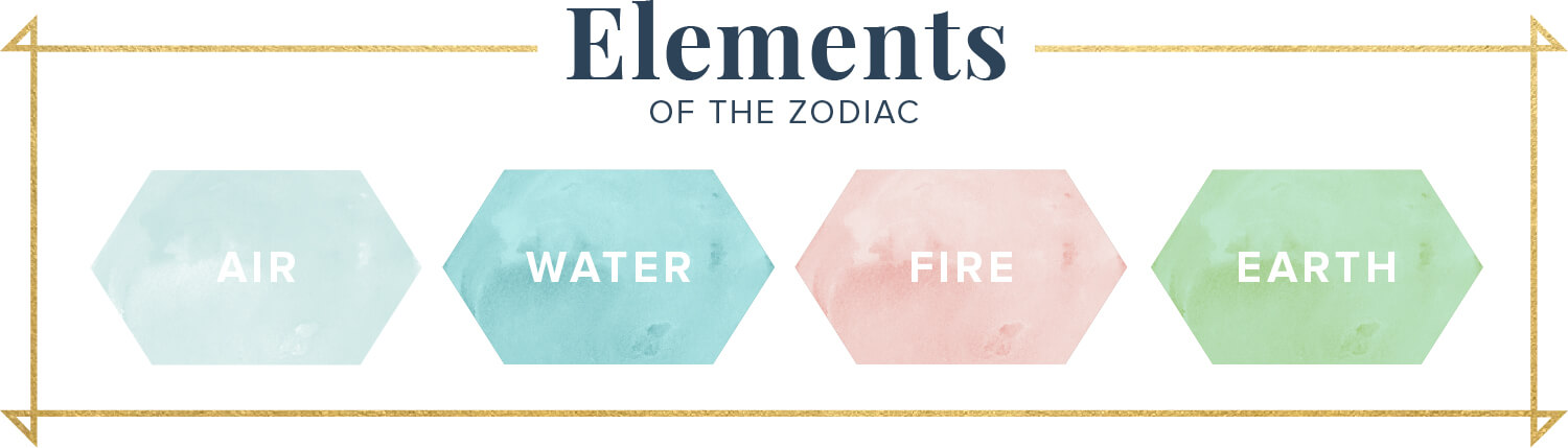 Your Perfect Plant According To Your Zodiac Sign Proflowers