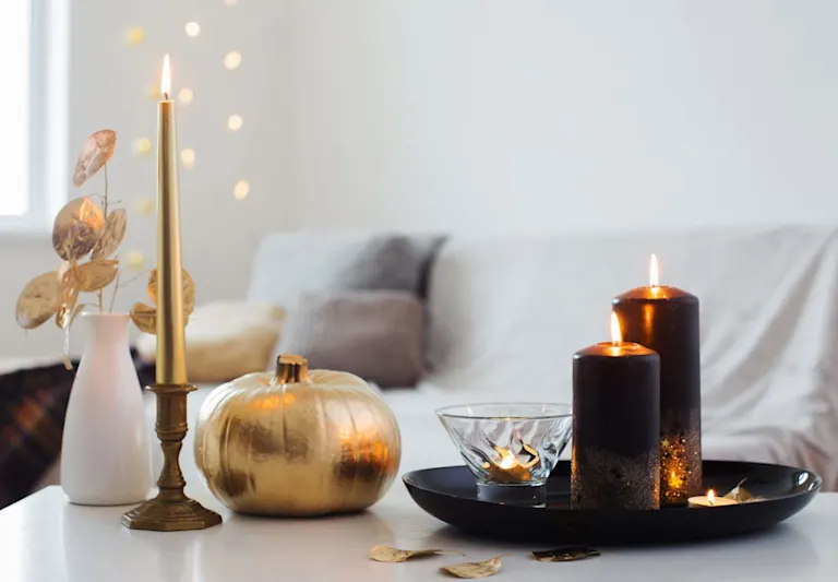 Classy Halloween Plant Decor Ideas + Printable Pumpkin Carving Stencils ...