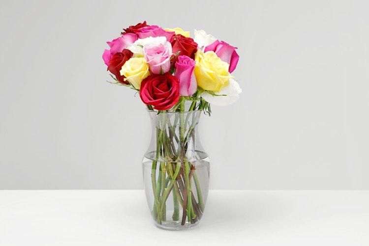 Flowers in Vase