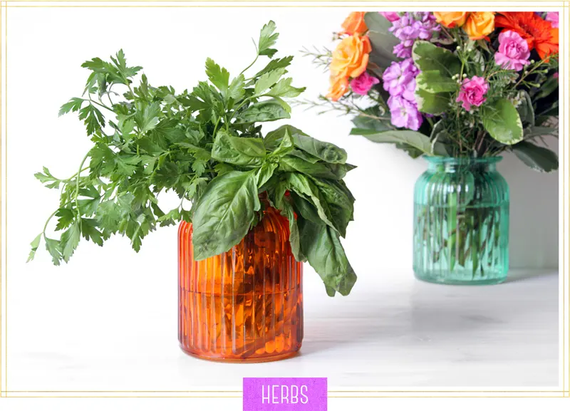 11 Creative Ways to Reuse Vases